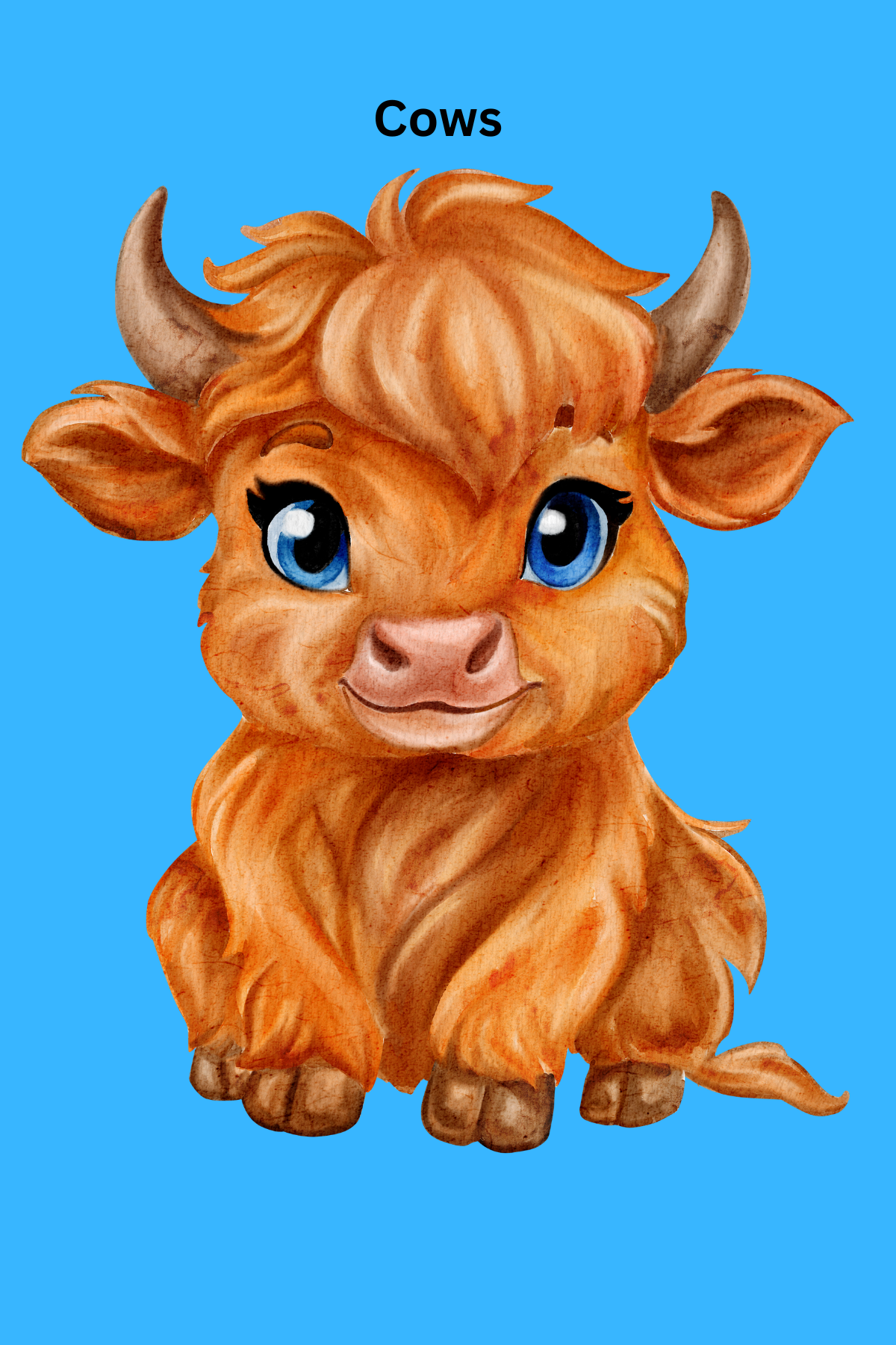 Cows